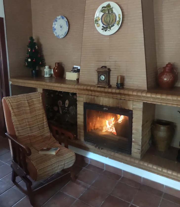 Chimenea encendida en el salón