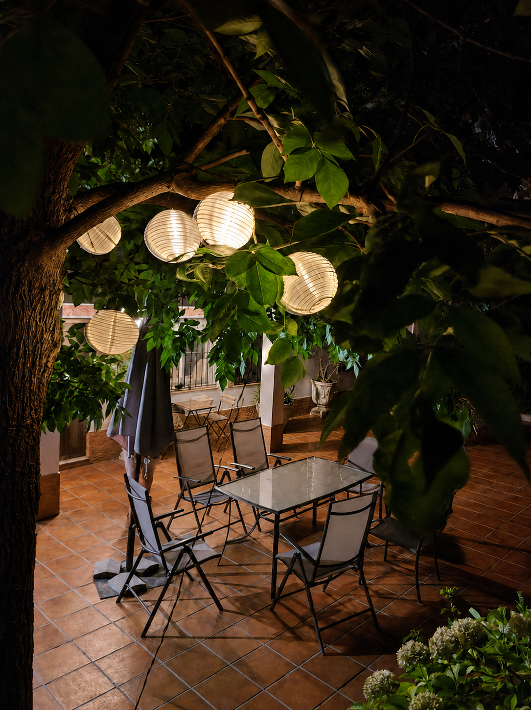 Cena al aire libre bajo las luces